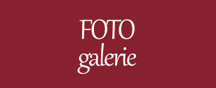 Fotogalerie