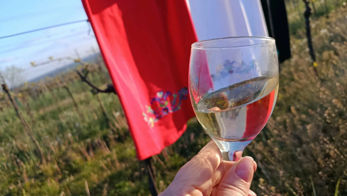 autorské oblečení značky Pecka se sklenkou vína butik Olallá Tišnov